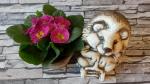 ježek a květináč,keramická zahradní osazovací dekorace