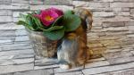 pes štěně+květináč,keramická osazovací zahradní dekorace