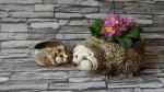ježek mini květináč,keramická osazovací dekorace